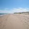 Where Sand Sings: The Charms of Basin Head Provincial Park on PEI