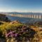 50+ Bucket List Ideas for a Summer Staycation in British Columbia