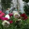 Whistling Gardens: Visit One of Canada's Best Botanical Gardens With the Largest Public Peony Collection in North America