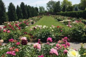 Gardens to Visit in Southwestern Ontario For Colourful Spring and Summer Day Trips