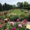 Gardens to Visit in Southwestern Ontario For Colourful Spring and Summer Day Trips