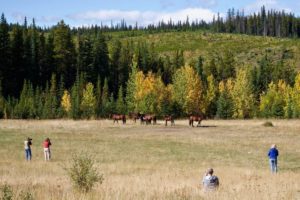 Top Things to Do in Sundre