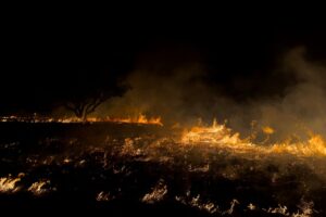 Canada's 2026 Wildfire Season by the Numbers: 4.5 Million Hectares Burned, Thousands Evacuated