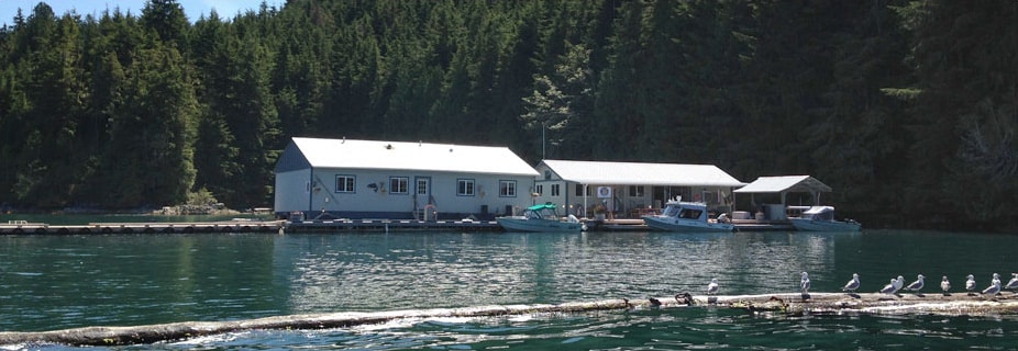 Photo Credit: Bones Bay Lodge