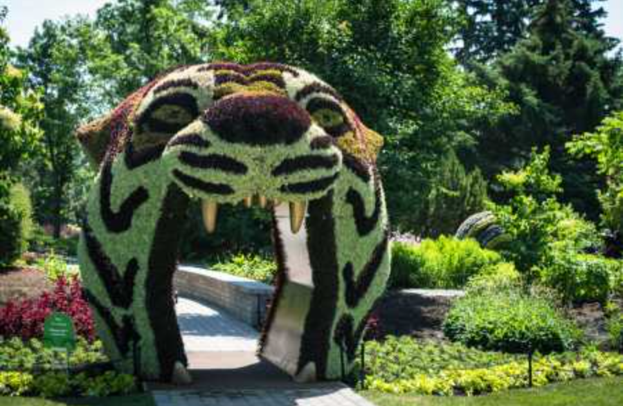 Summer Guide 100+ Things to Do This 2025 Summer in Calgary Outdoor