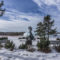 25 Places to Enjoy Winter Walking and Hiking in and Around Edmonton