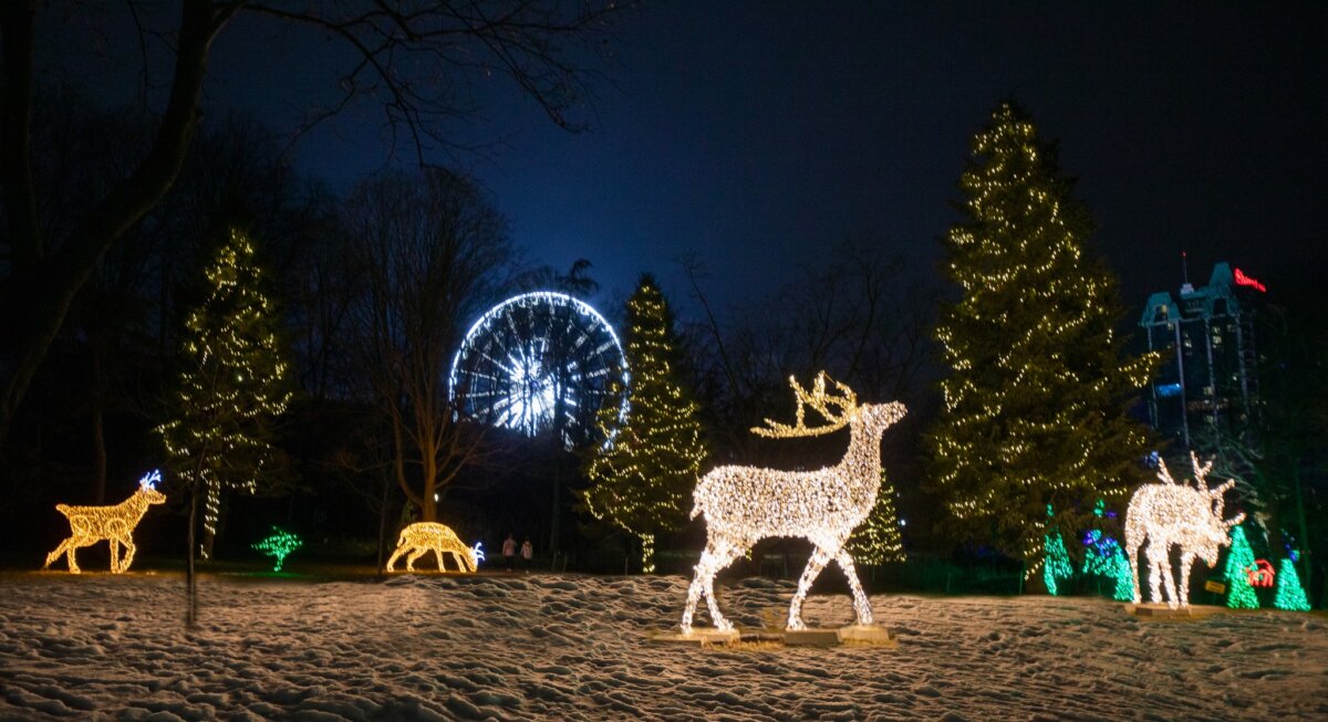 What is New and What to See & Do at Niagara Falls’ 2025/25 Winter Festival of Lights