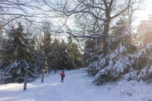 Things to Do this Winter in Saint John
