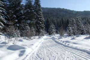 Winter Fun in Salmon Arm