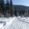 Winter Fun in Salmon Arm