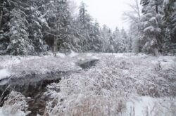 Winter Fun in Silent Lake Provincial Park - Adventures to Make the Best of Your Winter Trip