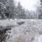 Winter Fun in Silent Lake Provincial Park - Adventures to Make the Best of Your Winter Trip
