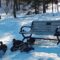 Things to Do During Christmas - Winter Holidays in St John's
