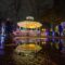 Winter Lights Festial Brmapton