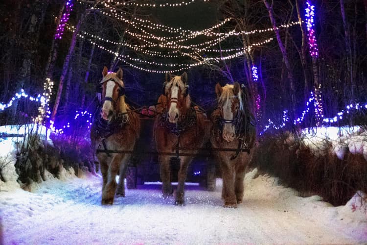 25 Things to Do in Red Deer during Winter