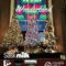 Winter Wonderland - Family Gathering