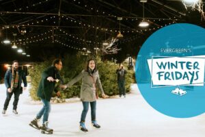 Winter Fridays
