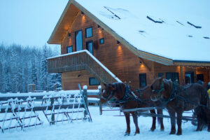 Christmas - Winter Holiday Getaways in Alberta