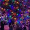 Winterdown Lights & Market