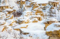 Winter Trip to Writing-on-Stone Provincial Park - Alberta’s Frosted Wonderland of Hoodoos