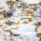 Winter Trip to Writing-on-Stone Provincial Park - Alberta’s Frosted Wonderland of Hoodoos
