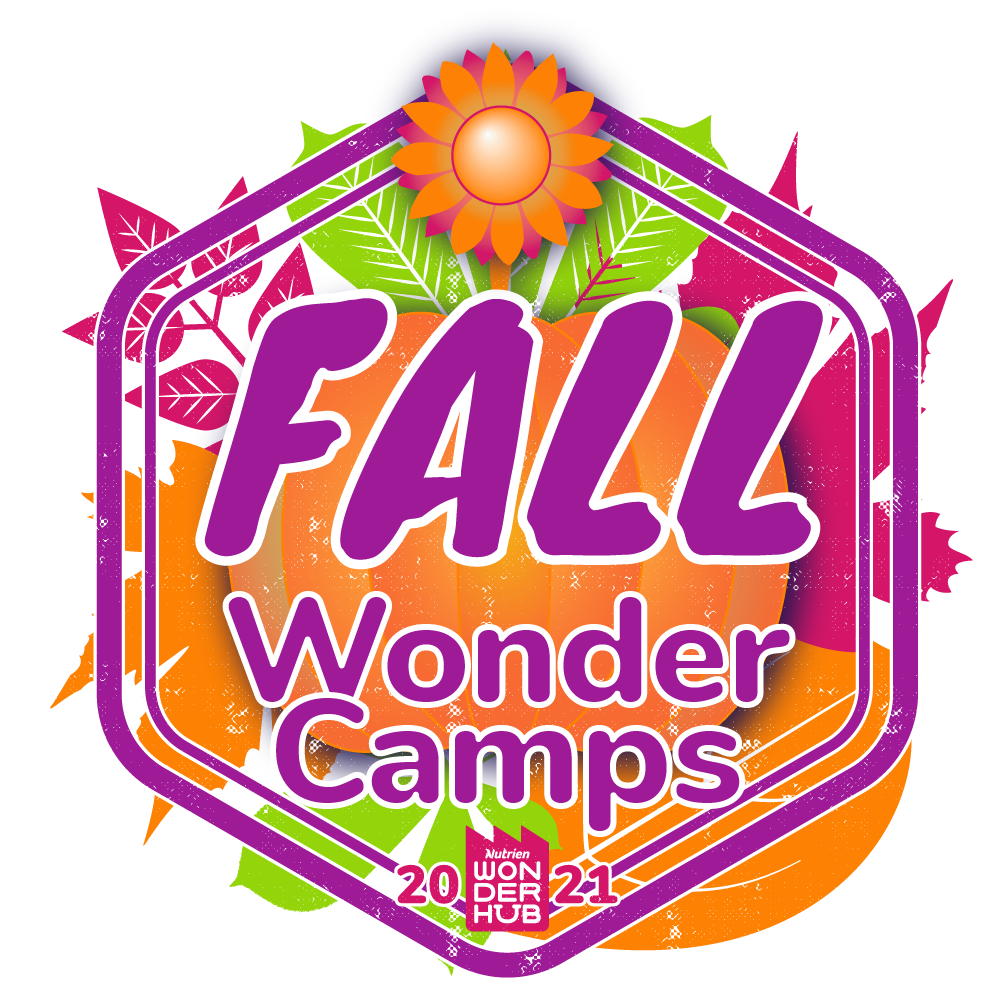 Wonder Day Camp Wonderful World of Colour Nutrien Wonderhub, 50