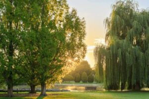Things to Do in Oxford County During Summer