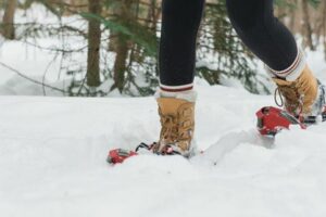 Snowshoe Ecotour