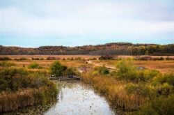 From Boardwalks to Canoe Trips: Why Wye Marsh Wildlife Centre Is a Must-Visit for Outdoor Lovers Year-Round