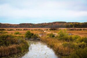 From Boardwalks to Canoe Trips: Why Wye Marsh Wildlife Centre Is a Must-Visit for Outdoor Lovers Year-Round
