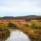From Boardwalks to Canoe Trips: Why Wye Marsh Wildlife Centre Is a Must-Visit for Outdoor Lovers Year-Round