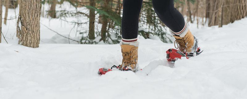 Snowshoe Ecotour