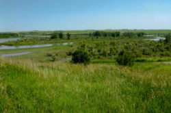 Explore Wyndham Carseland Provincial Park Near Calgary on a Day Trip or Comfort Camping Getaway