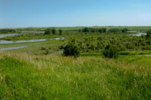 Explore Wyndham Carseland Provincial Park Near Calgary on a Day Trip or Comfort Camping Getaway
