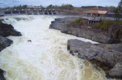 Zip Zag Zip: Take a Thrilling Trip Across Saint John River Gorge and Waterfall