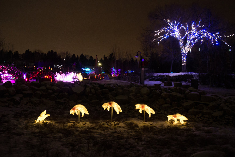 Places to See the Best Christmas Light Displays Around Edmonton 2024