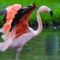 Calgary Zoo - ZooNights - May 21 & 22
