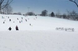 50+ Places to Toboggan in Greater Toronto Area