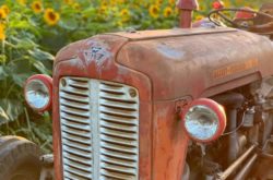 Family Fun at The Apple Orchard