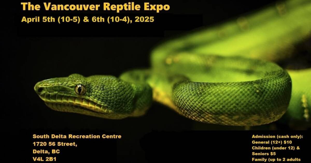 The Vancouver Reptile Expo Vancouver Reptile Expo 2025