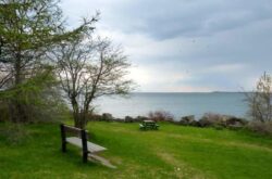 Ashbridges Bay Park Toronto