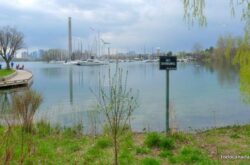 Ashbridge's Bay Park