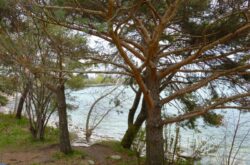 View from Ashbridges Bay Park, Toronto
