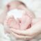 Saskatchewan Top Baby Names: Noah and Olivia Still on Top, Muhammad Climbs Rankings