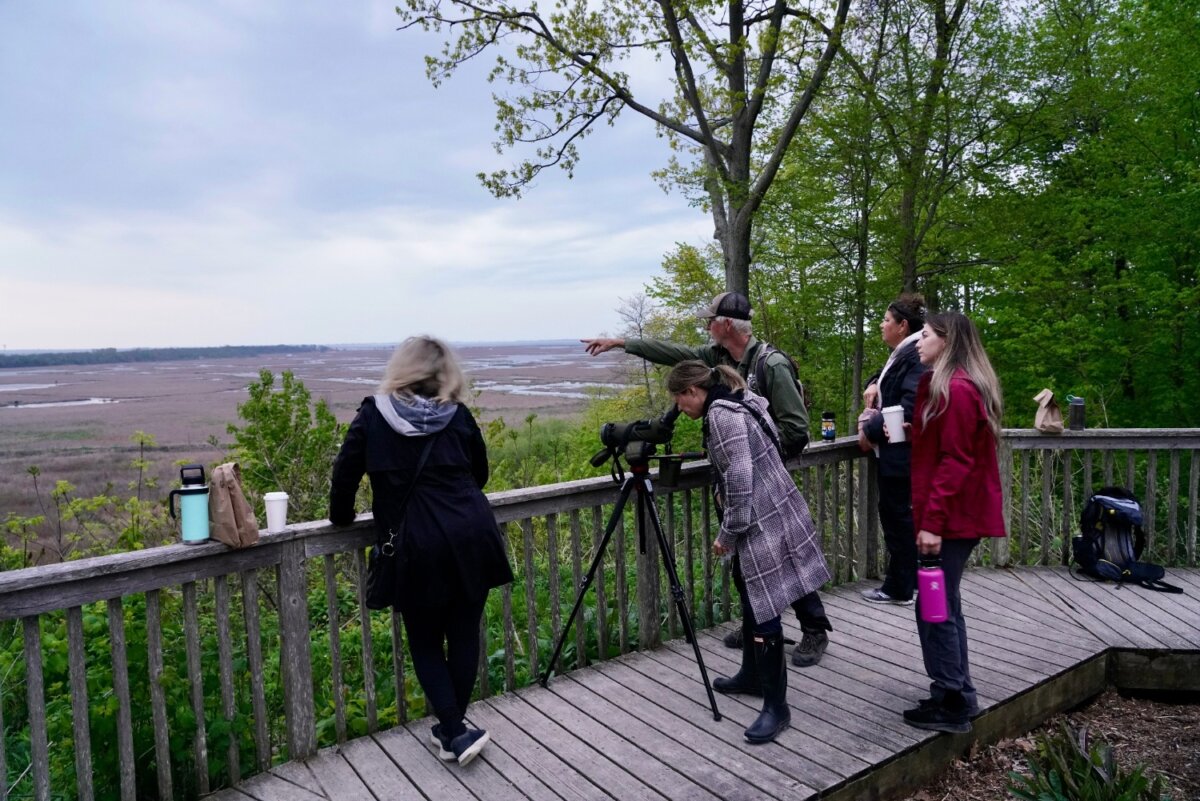 Birds of Iroquois MultiDay Adventure