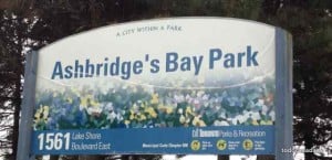 Ashbridge's Bay Rark