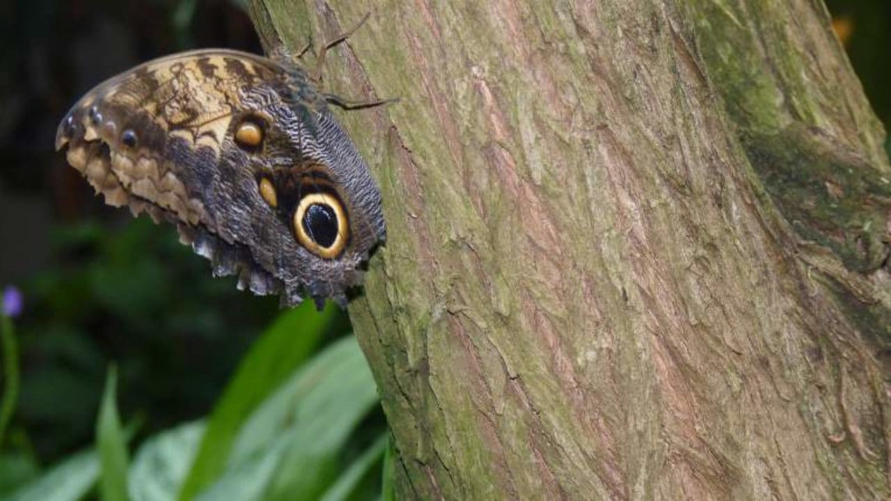 50 Family Activities This Summer In Kitchener Waterloo To Do Canada