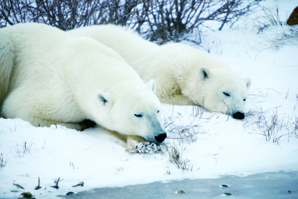 Photo Credit: Canadian Tourism Commission