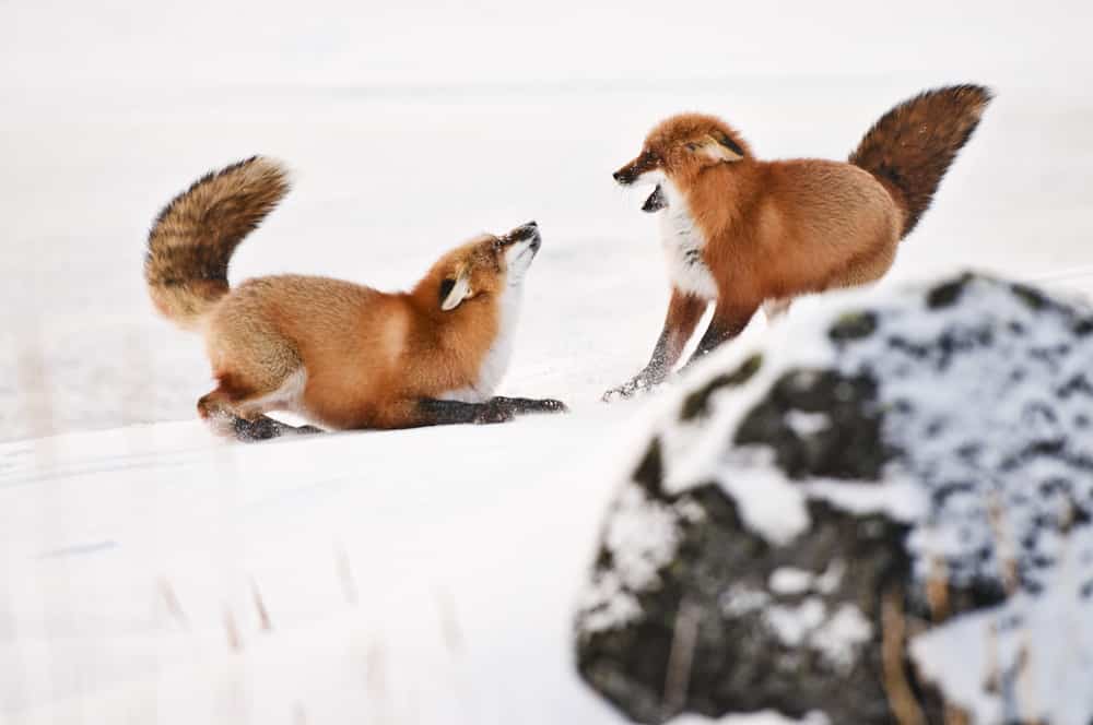 Photo Credit: Canadian Tourism Commission