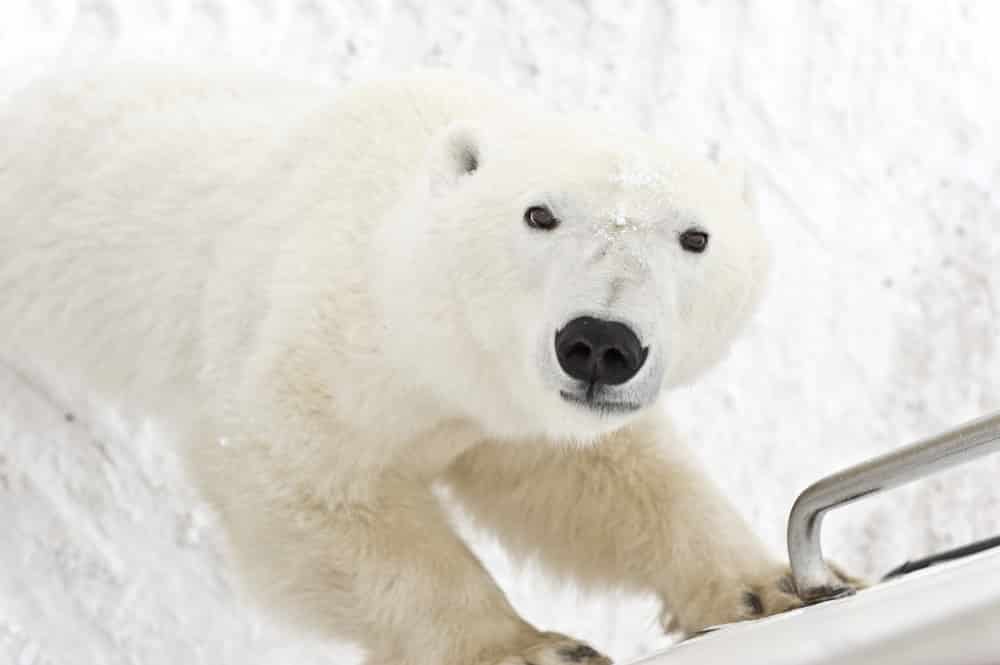 Photo Credit: Canadian Tourism Commission